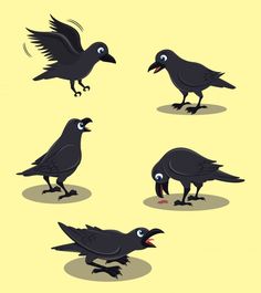 four black birds with different facial expressions on their faces