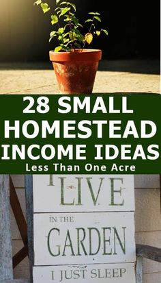 a small potted plant sitting on top of a wooden sign that says 28 small homesteading ideas less than one ace