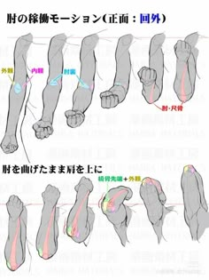 an image of the arm and wrist muscles in different positions, with text below it