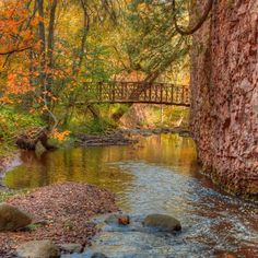 a bridge over a small stream in the woods with rocks and trees around it, surrounded by fall foliage