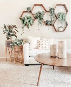 a living room filled with furniture and potted plants