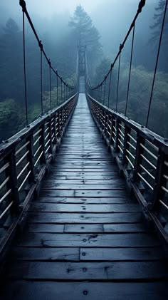 a long suspension bridge in the middle of a foggy forest