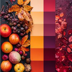 an assortment of fruits and vegetables are shown in three different color palettes with autumn leaves on them