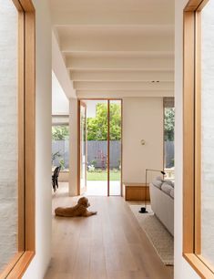 a dog laying on the floor in a living room next to a sliding glass door