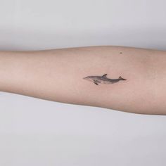 a small dolphin tattoo on the arm