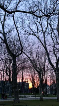 the sun is setting behind some trees in a city park with no leaves on them