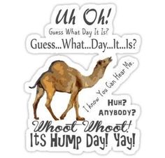 a sticker that says, u oh guess what day it is? hump its hump day yay