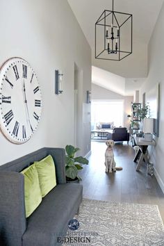 a dog sitting on the floor in front of a couch and large clock above it