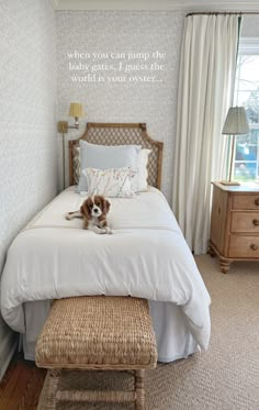 a dog laying on top of a white bed in a bedroom next to a window