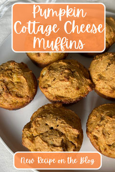 pumpkin cottage cheese muffins on a plate with text overlay that reads, pumpkin cottage cheese muffins new recipe on the blog