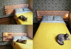 three pictures of a cat laying on top of a bed with yellow sheets and pillows