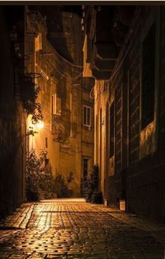 an alley way with cobblestones at night