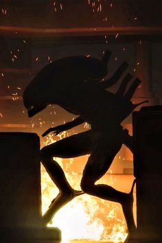 the silhouette of a person jumping in front of a fire