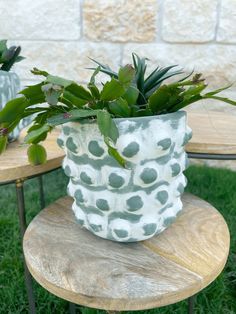 a potted plant sitting on top of a wooden table