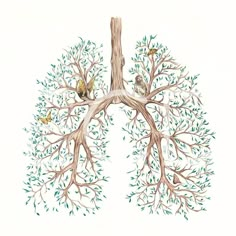 a drawing of a tree with leaves and birds on it's branches, as well as the lungs