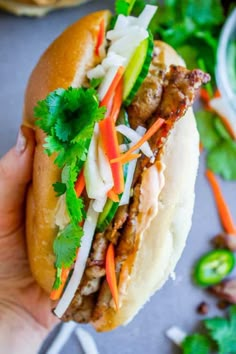 a hand holding a sandwich with meat and veggies