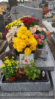 flowers are placed on the headstones of many different types of people's graves