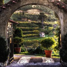 an archway leading into a lush green hillside