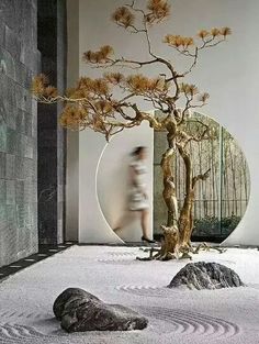 a bonsai tree in the middle of a room with rocks and stones on the floor