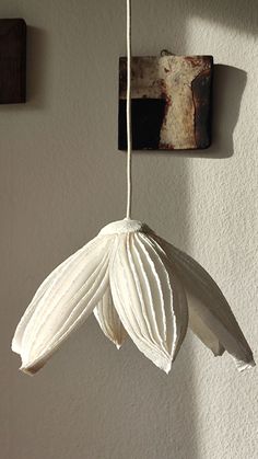 a white flower hanging from a hook on a wall