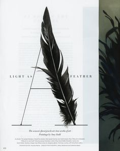 an image of a feather with the words light as a feather on it and a photo of a bird's wing