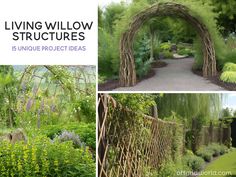 four different views of an outdoor garden with trees and plants in the foreground, along with text that reads living willow structures 15 unique projects