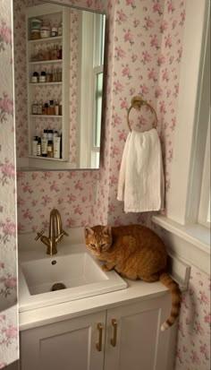 an orange cat sitting on top of a bathroom sink next to a mirror and towel rack