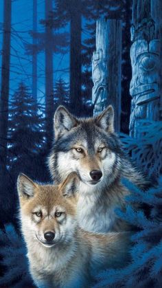 two wolfs are standing in the woods at night