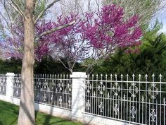 a white fence with purple flowers on it