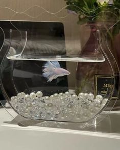 there is a fish in a bowl on the counter next to some bottles and flowers