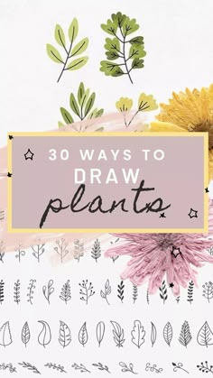 flowers and leaves with the words 30 ways to draw planta on top of it