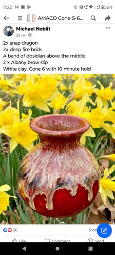 a red vase sitting on top of a field of yellow daffodils in front of an instagram page