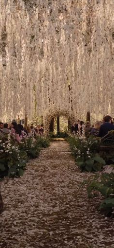 people are sitting in the middle of a flower covered walkway with flowers all over it