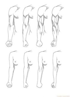 how to draw the leg muscles