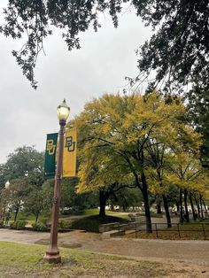 a street light sitting on the side of a road next to a tree filled park