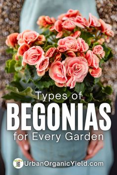 a woman holding a potted plant with pink flowers in it and the words types of begonsias for every garden