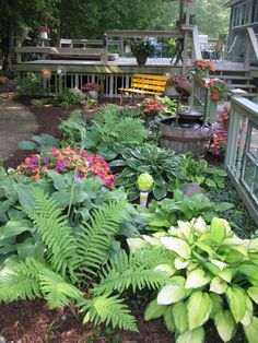 a garden with lots of green plants and flowers