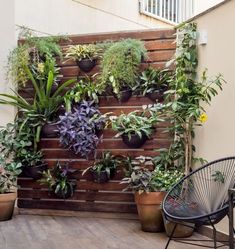 an outdoor patio with potted plants on the wall