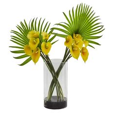 two yellow flowers in a glass vase with green leaves on the top and bottom, against a white background