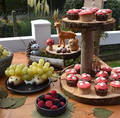 a table topped with cupcakes and fruit on top of wooden trays next to trees