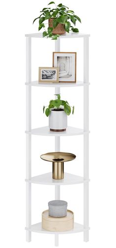 a white shelving unit with plants and pictures on the top shelf, against a white background