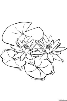 a black and white drawing of water lilies