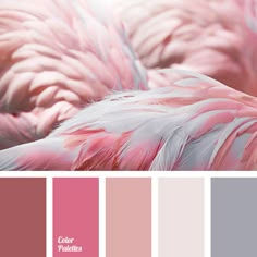 pink and grey color scheme with white feathers