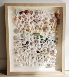 a shadow box filled with shells and seashells on a wooden table next to a white wall