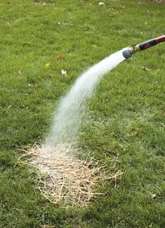 a fire hydrant spewing out water onto the grass