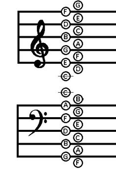 the guitar frets are arranged in order to form an e - clefs