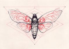 a drawing of a dragonfly with red wings