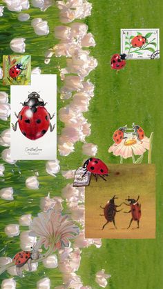 Lady bug collage of art pieces combined with photos Bug Collage, Ladybug Background, Future Wallpaper, Spring Red, Bug Art, Iphone Case Stickers, Wallpaper Collage, Funky Outfits, Girl Wallpaper