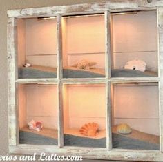 an old window has shells and seashells in it