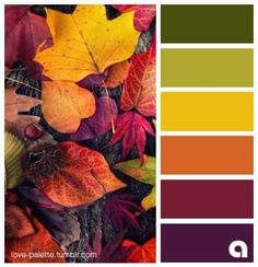 an image of autumn leaves with color swatches